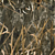 Oxford SG Habitat